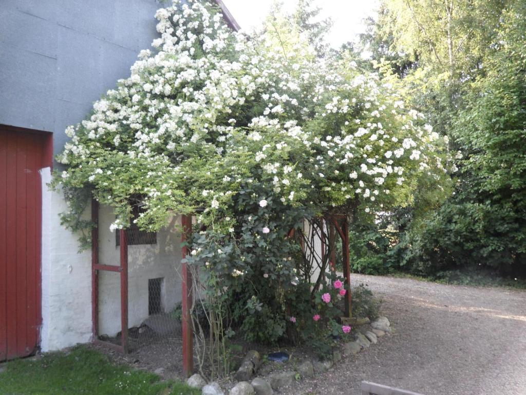 Lille Degnbol Villa Exteriör bild